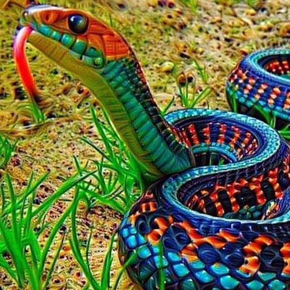 Meet your Posher, Sara - Picture 1 of 1